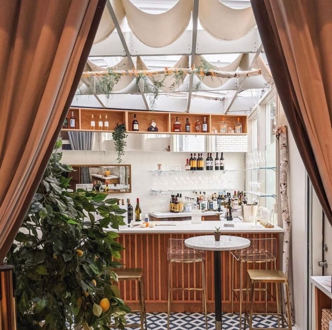 Glass-roofed bar at Café Georgetown — geometric tile floor, greenery, and wine bottles at 3141 N St NW Georgetown DC
